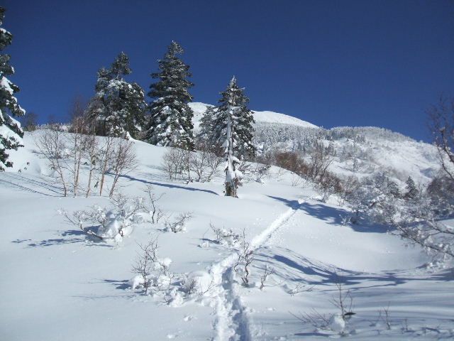 イメージ 12