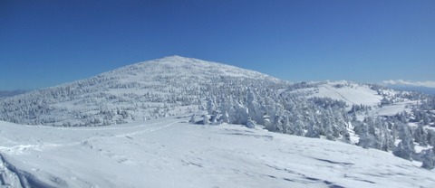 2023_01190003 パノラマ写真