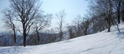 2020_02150008 パノラマ写真