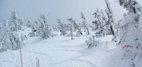 2021_03200014 パノラマ写真