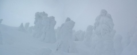 2023_01120031 パノラマ写真