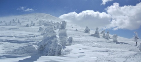 2020_03250070 パノラマ写真