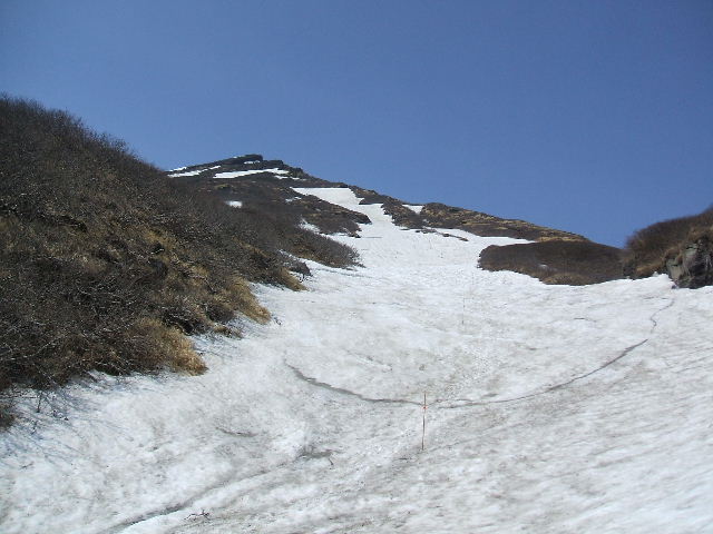 イメージ 10
