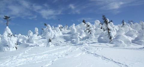 2024_02180014 パノラマ写真