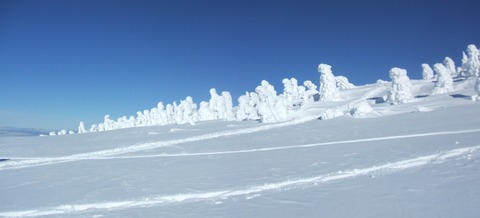 2024_01110032 パノラマ写真