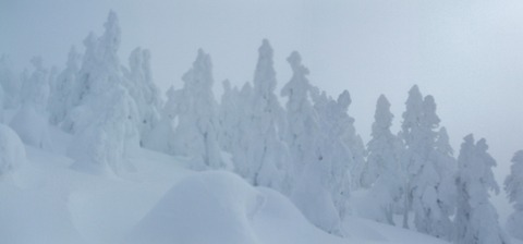 2022_12210007 パノラマ写真