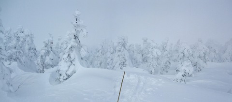 2020_01270025 パノラマ写真