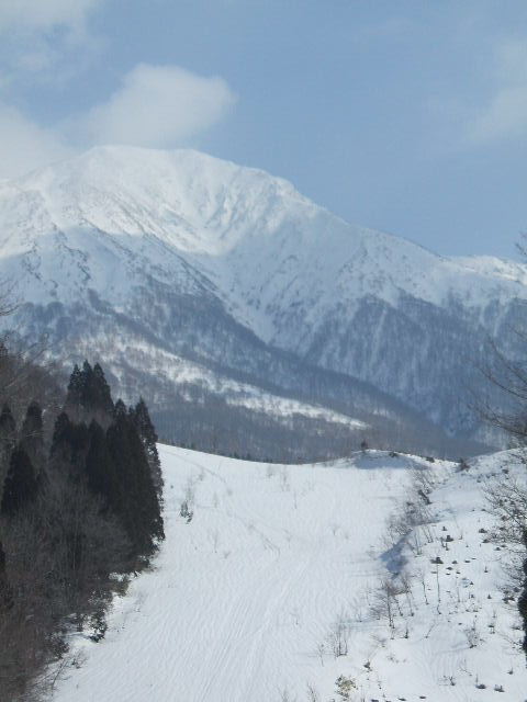 イメージ 21