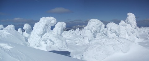 2020_03070029 パノラマ写真