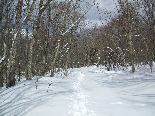 イメージ 3
