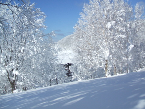 2020_12220006