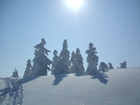 2023_02070015