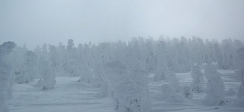 2020_01270030 パノラマ写真