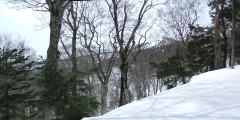 2023_03250017 パノラマ写真