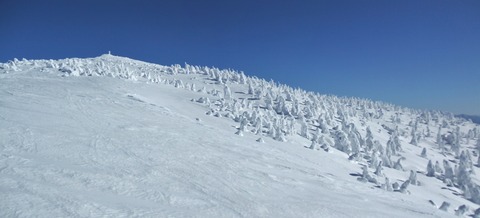 2023_01190013 パノラマ写真