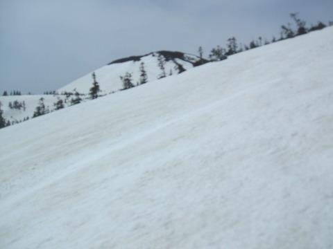 2022_04240029