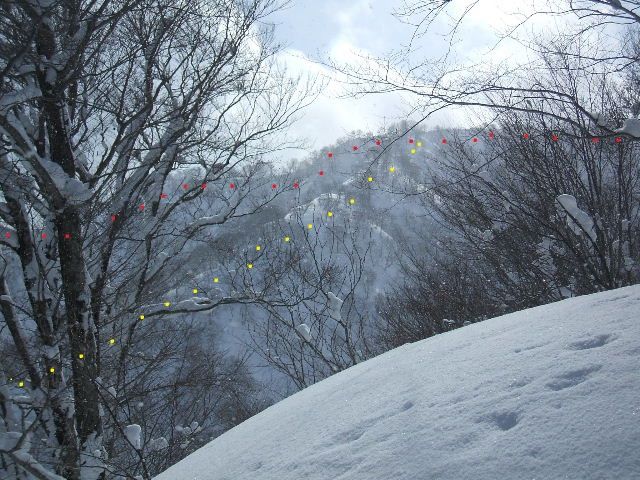 イメージ 29