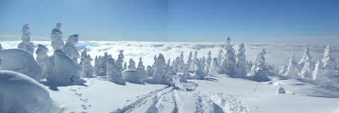 2024_01110037 パノラマ写真