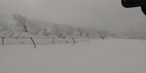 HORIZON_0001_BURST20200407064044687_COVER