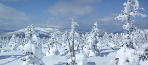 2020_03070012 パノラマ写真