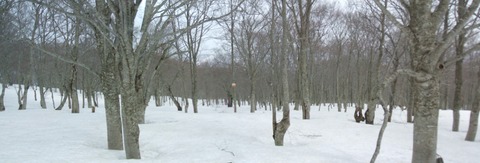 2023_04140017 パノラマ写真