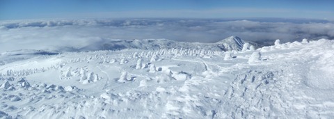 2024_01110029 パノラマ写真