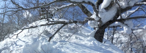 2022_03010014 パノラマ写真