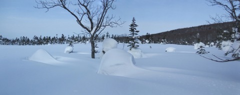 2021_02010034 パノラマ写真