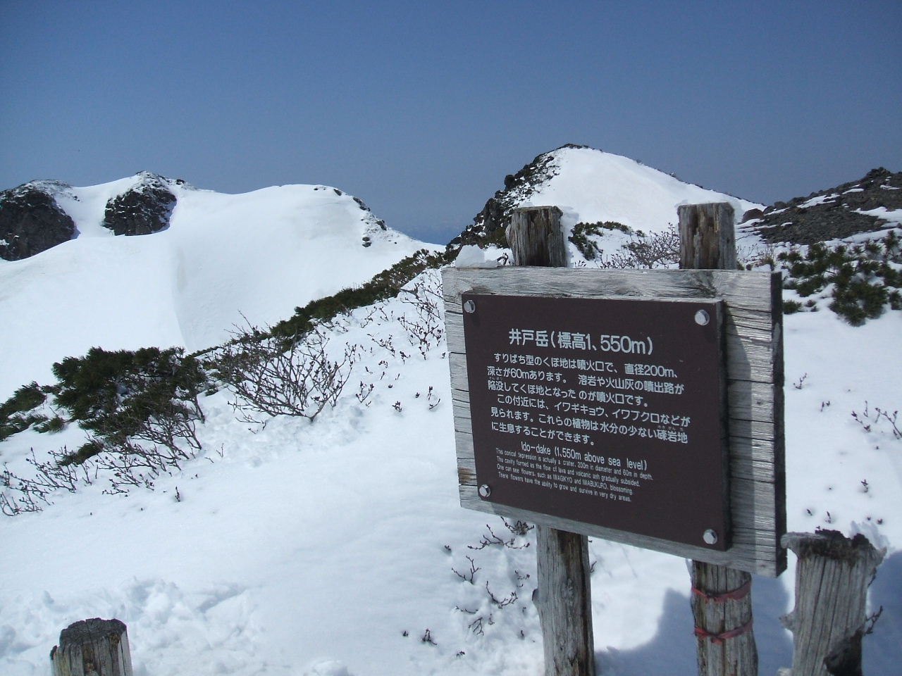 イメージ 6