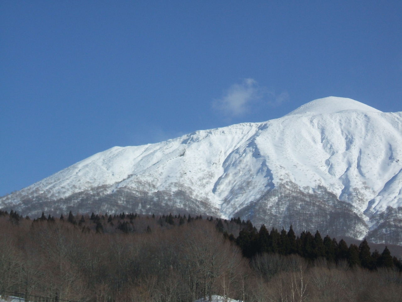 イメージ 2
