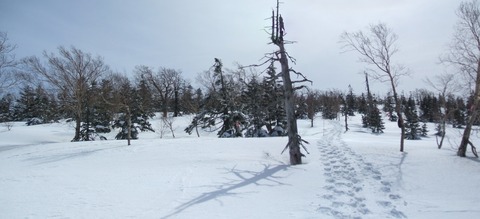 2021_03200006 パノラマ写真