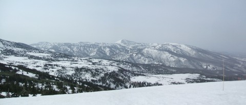 2023_04140003 パノラマ写真