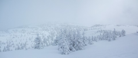 2021_02270017 パノラマ写真