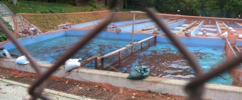 2021_10120002 パノラマ写真