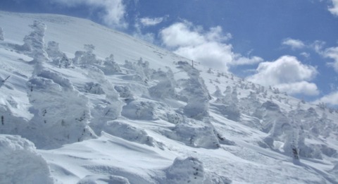 2020_03250072 パノラマ写真