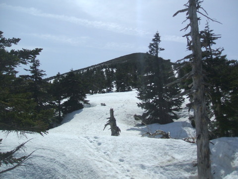 2022_04240006