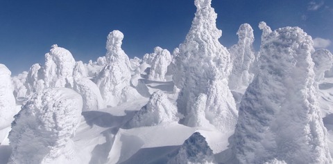 100_0781 パノラマ写真