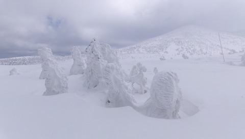 2024_03160008 パノラマ写真