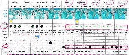イメージ 7
