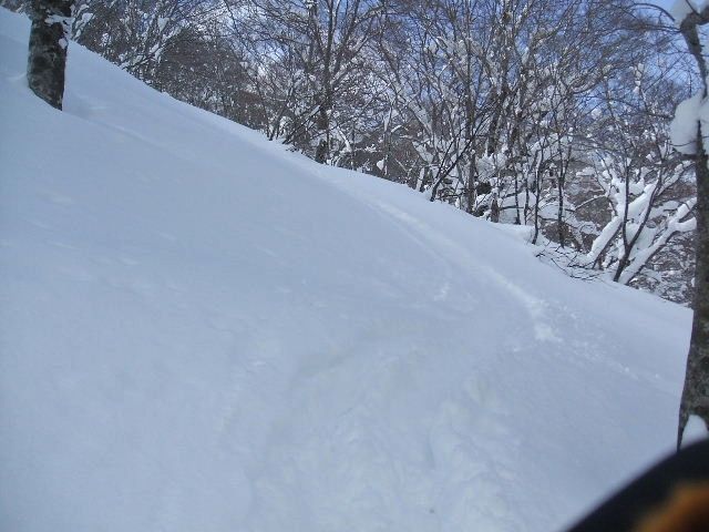 イメージ 20