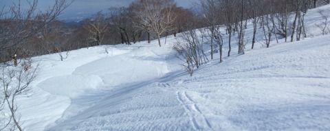 2020_02150012 02パノラマ写真