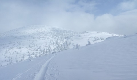 2021_02270019 パノラマ写真