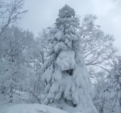 2022_12120008 パノラマ写真