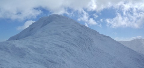 2023_03190013 パノラマ写真