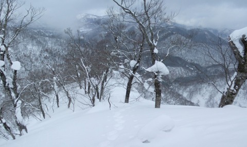 2022_02150059 パノラマ写真