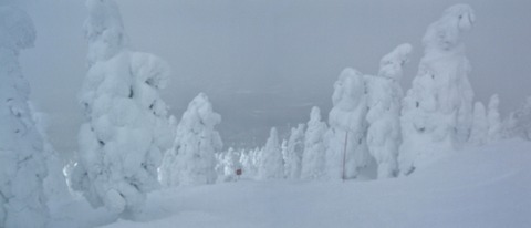 2023_01120039 パノラマ写真