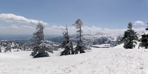 2024_04060011 パノラマ写真