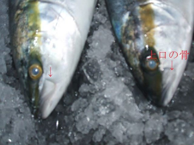 イメージ 4