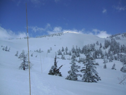 2020_04140015