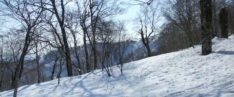 2020_02150003 パノラマ写真